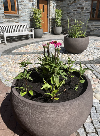 Patio garden design in Cornwall